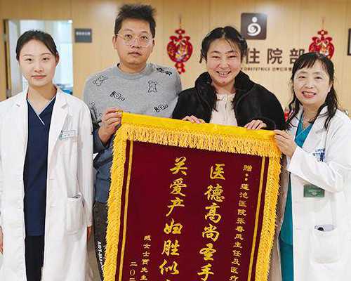 <b>2025保定能做借卵代怀生子的试管医院排名？附详细医院介绍？</b>