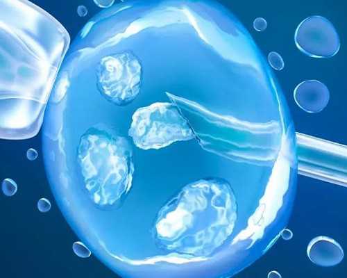 供卵志愿者群_提供卵巢早衰借卵,【泉州供卵医院失独超高龄供卵试管】怀孕期