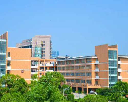 代怀生子什么意思？附详细介绍？