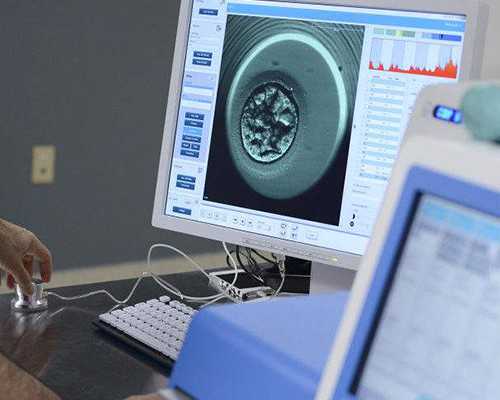 多囊卵巢来月经不正常可以做试管婴儿成功怀上武汉助孕宝宝吗