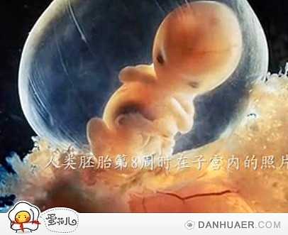 武汉代生双胞胎包男孩_2020年代孕生子多少钱