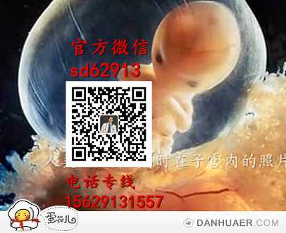 武汉代孕官网_上海代怀孕机构_代怀孕费用是多少